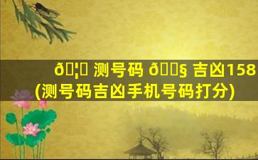 🦅 测号码 🐧 吉凶158(测号码吉凶手机号码打分)